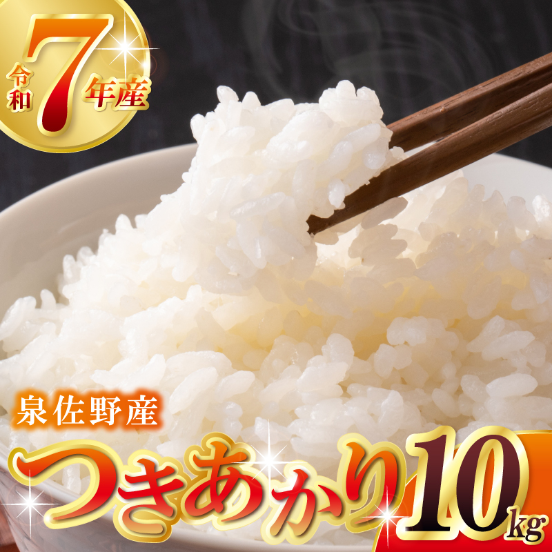 【数量限定】つきあかり 10kg【令和7年産 5kg×2 泉佐野市産 お米 おこめ 白米 精米 家計応援】 G3538-1