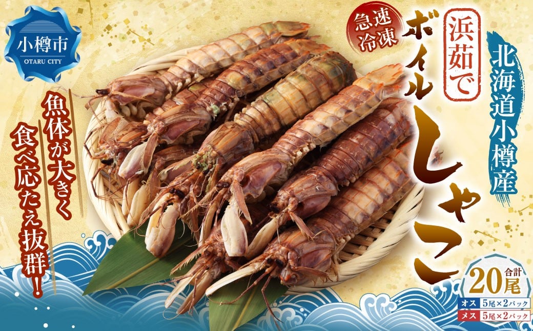 
ボイル しゃこ オス・メス 合計20尾 （各10尾）
