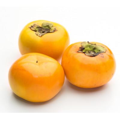 ふるさと納税 山鹿市 太秋柿 約2kg【日本フルーツ株式会社】(山鹿市) |  | 01