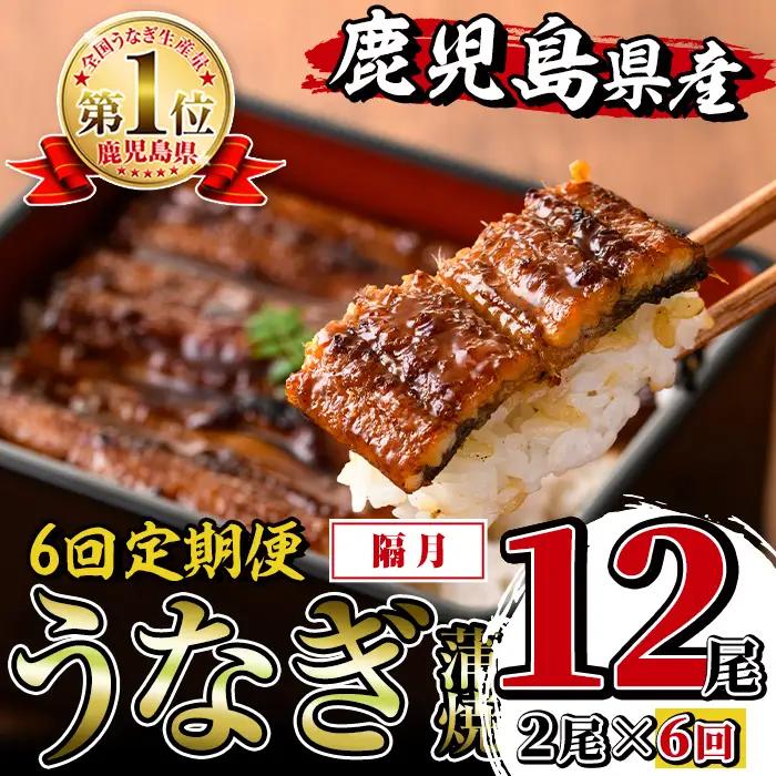 i938-B ＜定期便・計6回(隔月)＞鹿児島県産うなぎ蒲焼2尾セット＜(約140g×2・計約280g)×全6回＞定期便 うなぎ 鰻 ウナギ 2尾 蒲焼き 国産 鹿児島県産 焼きたて 生産量日本一 真空パック おかず 晩御飯 特別な日 土用の丑の日【薩摩川内鰻】