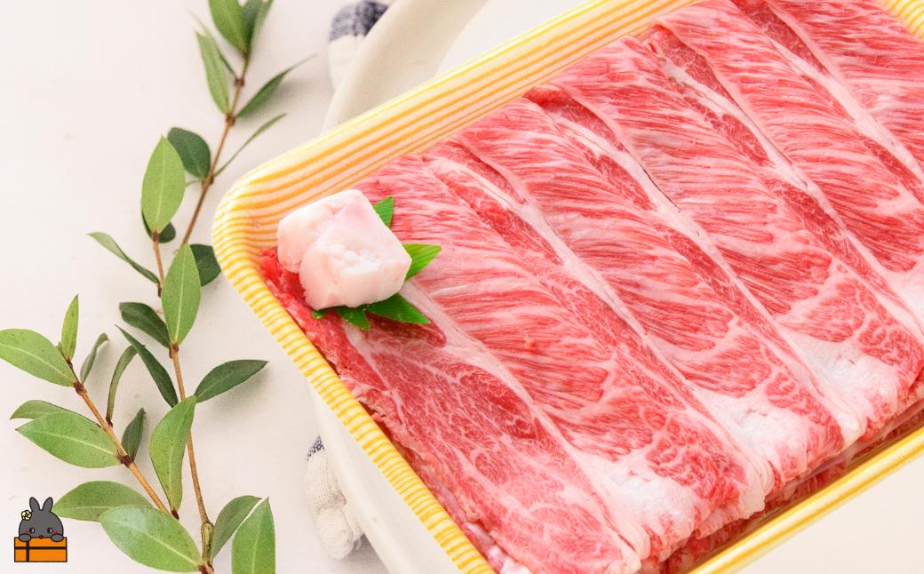 40代からの赤身を極めた鹿児島黒毛和牛肩ローススライス500g ( 厳選 赤身 プレミアム 高品質 鹿児島黒毛和牛 黒毛和牛 牛肉 万能 料理 徳之島 奄美 鹿児島 すき焼き しゃぶしゃぶ 高島屋 )