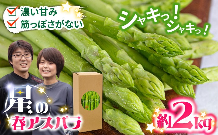 【2026年3月～発送】【数量限定】甘い！柔らかい！【星のアスパラ】厳選 グリーン アスパラガス 約2kg / アスパラ アスパラガス 野菜 厳選 / 南島原市 / ほしのYA [SEY002]