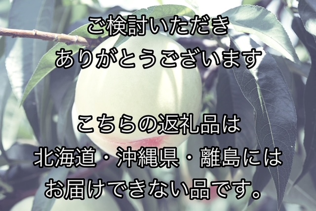 【令和7年発送・先行予約】白桃２回お届けコースB