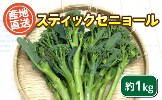 スティックセニョール 1kg セット栽培期間中農薬不使用 野菜 茎 ブロッコリー 惣菜 サラダ 炒め物 おかず 和食 洋食 根菜 家庭用 新鮮 旬 産地直送 豊浦町 川棚 下関 山口