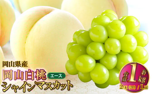 岡山県産 岡山白桃 エース 2Lサイズ 約250g×2玉・シャインマスカット 晴王 約500g×1房 詰合せ 【2025年7月上旬～8月下旬発送予定】 白桃 桃 もも モモ マスカット ぶどう 葡萄 ブドウ セット