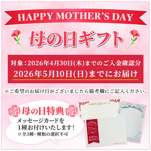 ＼令和8年 母の日／食べきりチョコレンガ ５個セット【MDA-001H】