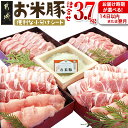 お米豚3.7kgセット - 豚肉 豚ロース/豚こま切れ(各300g×4) 豚バラ肉(300g×3) 豚肩ロース(200g×2) 計3.7キロ こだわり飼育/ブランド豚肉 小分け スライス肉 冷凍 ブランドポーク 銘柄豚 送料無料 MJ-3113【宮崎県都城市はふるさと納税二年連続日本一!!】