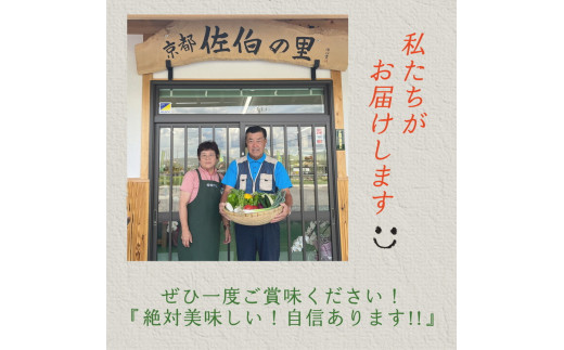 【10月発送】京都産 コシヒカリ2kg ＋ 旬の野菜セット 6回 定期便 京都 佐伯の里 新鮮 野菜 7～10品 コシヒカリ2kg 米 定期便 6ヶ月 京都丹波・亀岡産 季節の野菜 詰め合わせ 訳あり