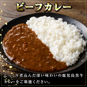 【A91018】鹿児島黒牛ビーフカレー(160g×10P) 鹿児島 国産 黒牛 牛肉 ビーフ レトルトカレー パック ご当地カレー おかず 惣菜 ギフト 贈答【新村畜産】