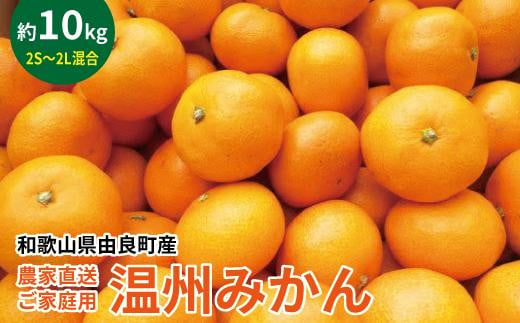 
            農家直送 ご家庭用 和歌山県由良町産温州みかん 約10kg 2S～2Lサイズ混合
          