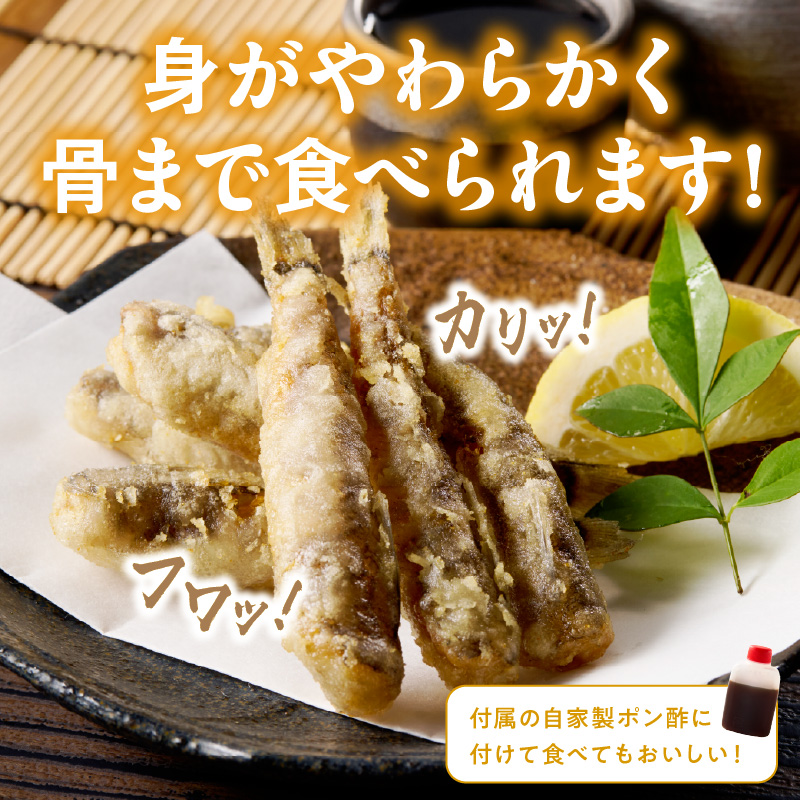 大正5年創業メヒカリ料理発祥の店「日本料理高浜」のメヒカリ唐揚げ N077-YZA615