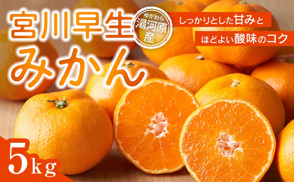 
                  宮川早生みかん5kg | 湯河原町 みかん 柑橘 旬 宮川早生 5kg フルーツ
                
