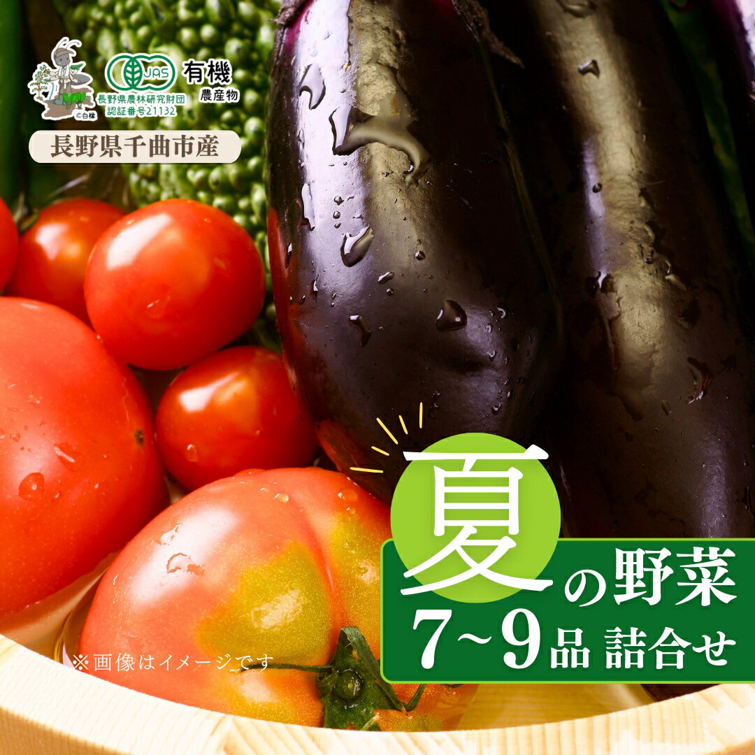 【ふるさと納税】【有機JAS認証】信州ありさんファーム 旬の野菜 7~9品 夏版 | 信州 長野 千曲市 送料無料