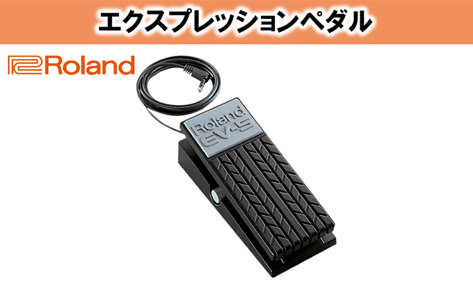 【Roland】エクスプレッションペダル/EV-5【配送不可：離島】