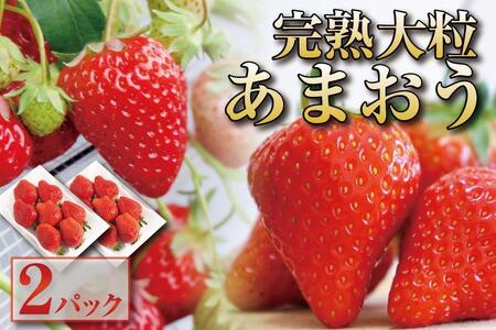 【12月中旬以降出荷予定】完熟 大粒 あまおう イチゴ 280g×2パック(約560g)＜配送不可：北海道、沖縄県、離島＞