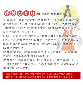 【020-77】伊勢奉祝　奇跡のお米　伊勢ひかり10kg*