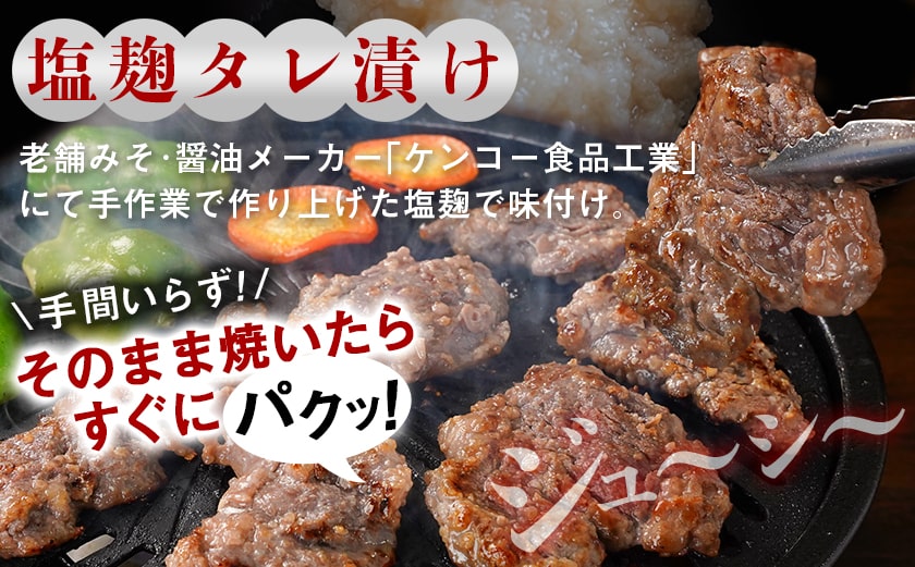 牛ハラミ 塩麹タレ漬け900g_LG8-3309_【肉 牛肉 焼き肉 焼肉 人気 おすすめ】