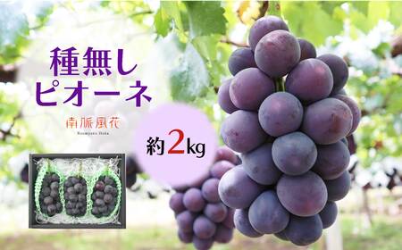 ＜2026年発送先行予約＞ピオーネ2.0kg相当 ALPAJ008