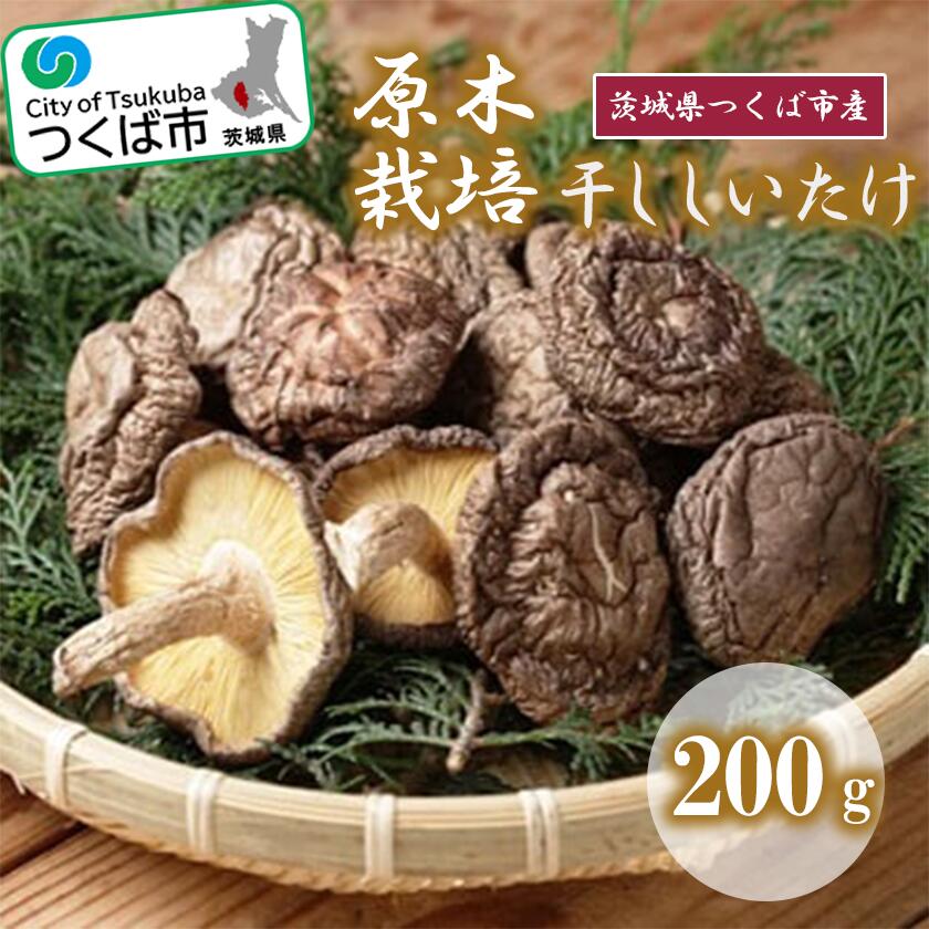 【ふるさと納税】干ししいたけ(原木栽培) 200g | 茨城県 つくば市 シイタケ しいたけ 椎茸 きのこ キノコ 茸 干ししいたけ 乾し椎茸 原木栽培 乾物 健康食品 食材 保存期間の長い食材 食物繊維 ビタミン ミネラル