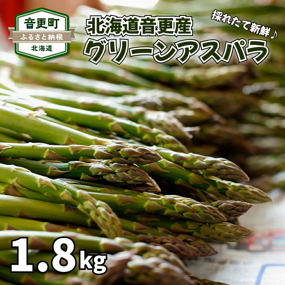 【ふるさと納税】【先行受付】おとふけ産グリーンアスパラ （M／Lサイズ） 1.8kg【2025年5月中旬頃より順次発送】アスパラ アスパラガス 野菜 緑黄色野菜 やさい 十勝 冷蔵 北海道 音更町 送料無料