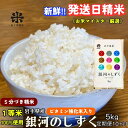 【ふるさと納税】『定期便10ヵ月』銀河のしずく《特A 6年連続獲得中!》【5分づき精米・ビタミン強化米入り】5kg 令和6年産 盛岡市産 ◆発送当日精米・1等米のみを使用したお米マイスター監修の米◆　定期便　お届け：2024年10月上旬より順次発送