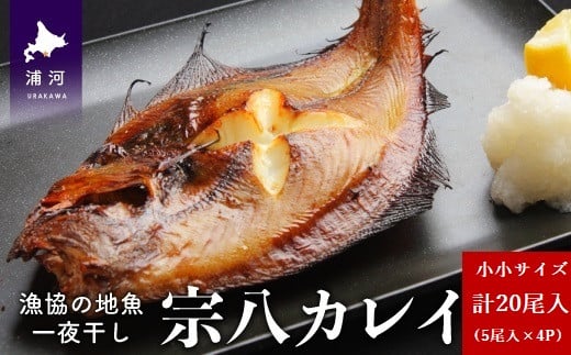 
漁協の地魚一夜干し 宗八カレイ 小小サイズ(20尾入)[02-1248]
