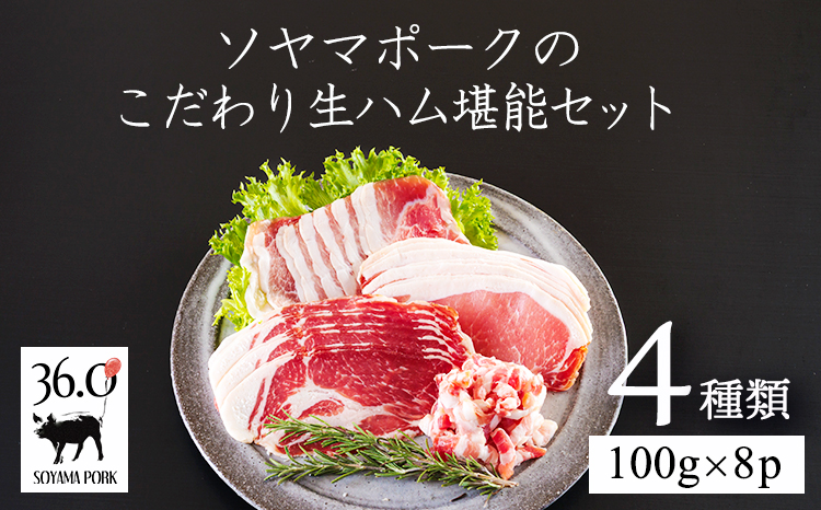 ソヤマポークのこだわり生ハム堪能セット[熟成肩ロース ロース モモ パンチェッタ 4種類] TF864ｰP00078