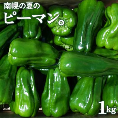 ふるさと納税 南幌町 ピーマン 北海道 南幌町産「ピクシー」約1kg 産地直送