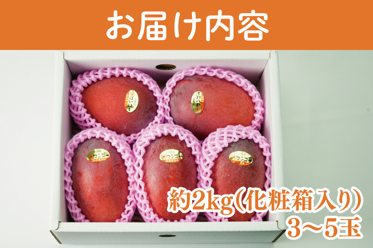 【2025年6月より順次発送】アーウィンマンゴー 3～5玉(約2kg)【白箱】 ご家庭用｜マンゴー アーウィンマンゴー アーウィン フルーツ 果物 くだもの おきなわマンゴー おきなわ 沖縄県 豊見城市 家庭用(AE011)