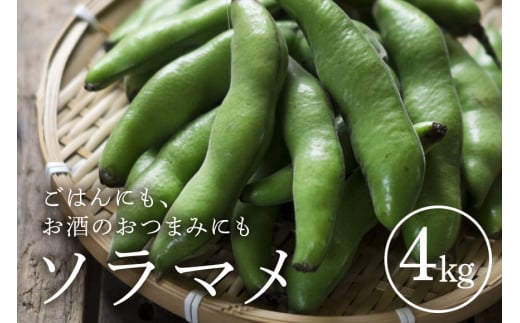ソラマメ4kg (A33-001)