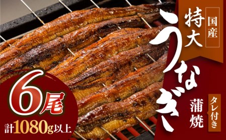 国産 うなぎ蒲焼 6枚セット /  ウナギ 鰻  うなぎ 蒲焼き ひつまぶし うな重【丸安】 [FAD013]