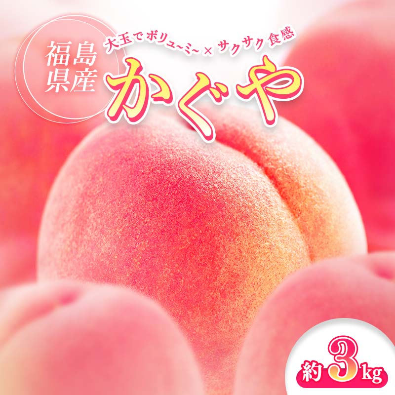 【ふるさと納税】 ＼2026年出荷分／ 福島県伊達市産 かぐや 約3kg (9～10玉) 株式会社大喜 伊達の桃 あかつき 桃 フルーツ 果物 もも モモ momo F21C-505