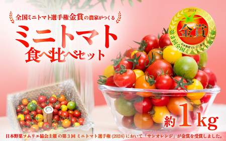ミニトマト 12月発送 食べ比べセット 1kg ミニトマト ミニトマト ミニトマト ミニトマト ミニトマト