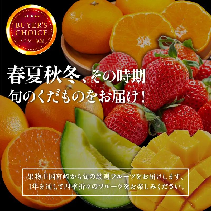フルーツ 定期便 フルーツ [人気 くだもの 果物 全5回]