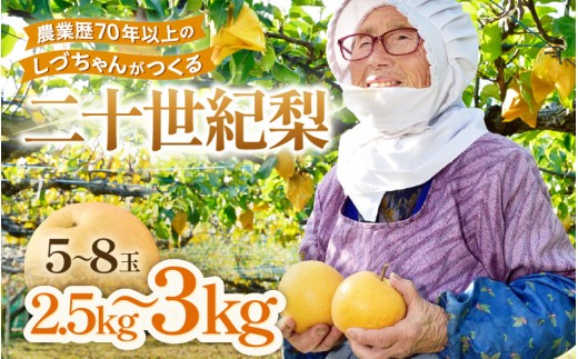 【先行予約】しづちゃんが作る二十世紀梨 5～8玉入（2.5～3kg） 農業歴70年以上！※2026年9月中旬以降順次発送予定 [aw075-a009]