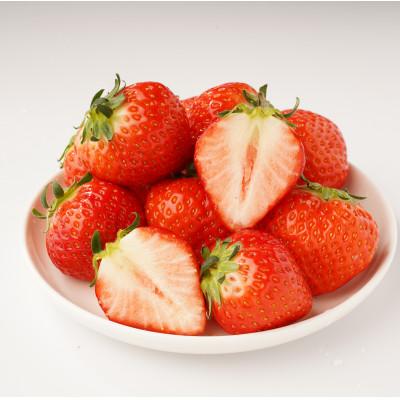 ふるさと納税 観音寺市 【発送月固定定期便】観音寺市フルーツ定期便全6回