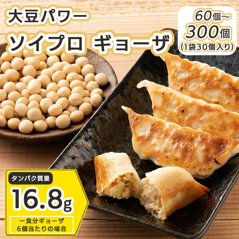 【ふるさと納税】大豆パワー ソイプロギョーザ（60個/90個/150個/300個）