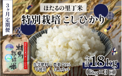 【令和6年産 新米】【3ヶ月定期便】ベストファーマー ほたるの里 特別栽培こしひかり 6kg（2kg×3） × 3回 計18㎏ 化学肥料不使用 農薬70％以上カット [C-002002]