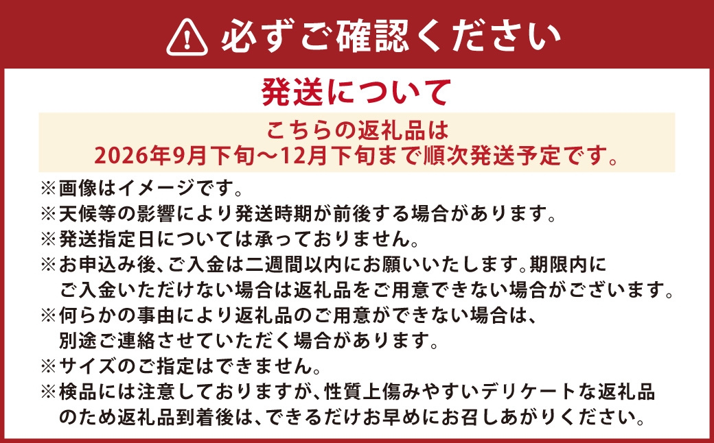 じゃがいもキタアカリLサイズ約10kg×1箱JA