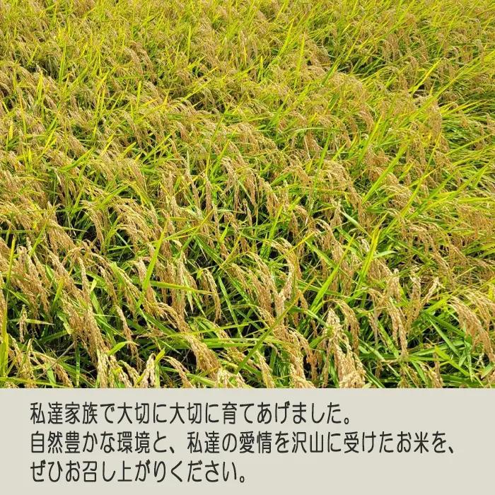 玄米　コシヒカリ5kg【令和7年産】 ／ こしひかり 令和7年 新米 米 お米 おこめ こめ コメ 玄米 げんまい ご飯 国産米 5kg 5キロ 食物繊維 ビタミン ミネラル おいしい お取り寄せ 産