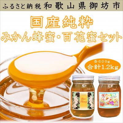 ふるさと納税 御坊市 紀州のみかん蜜と百花蜜セット