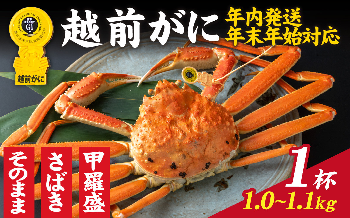 
            【先行予約】選べる！美味しさ直送【成前特選】越前かに（1.0～1.1kg）1杯【年内発送・年末年始対応】【L-028017】/ 正月【年内発送 年内お届け】ズワイガニ 甲羅盛り 越前がに かに 蟹 楚蟹 越前かに 香箱がに こうばこがに 親ガニ甲羅蟹 甲羅がに 香箱蟹
          