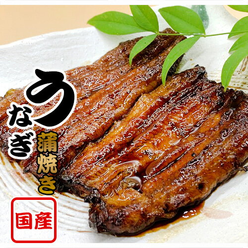 【ふるさと納税】国産鰻　蒲焼き（1人前） ／ うなぎ ウナギ 送料無料 茨城県 No.183