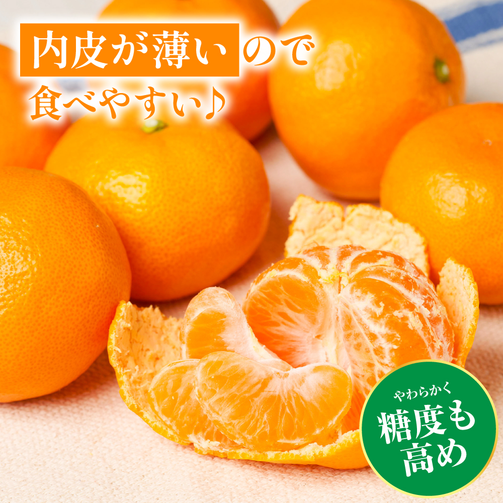 【先行予約】 八代市東陽産山本さん家の「熊本EC11みかん」 約5kg みかん 柑橘 フルーツ 果物 果実 ミカン 蜜柑 熊本県 八代市 【2026年11月上旬より順次発送】_イメージ4