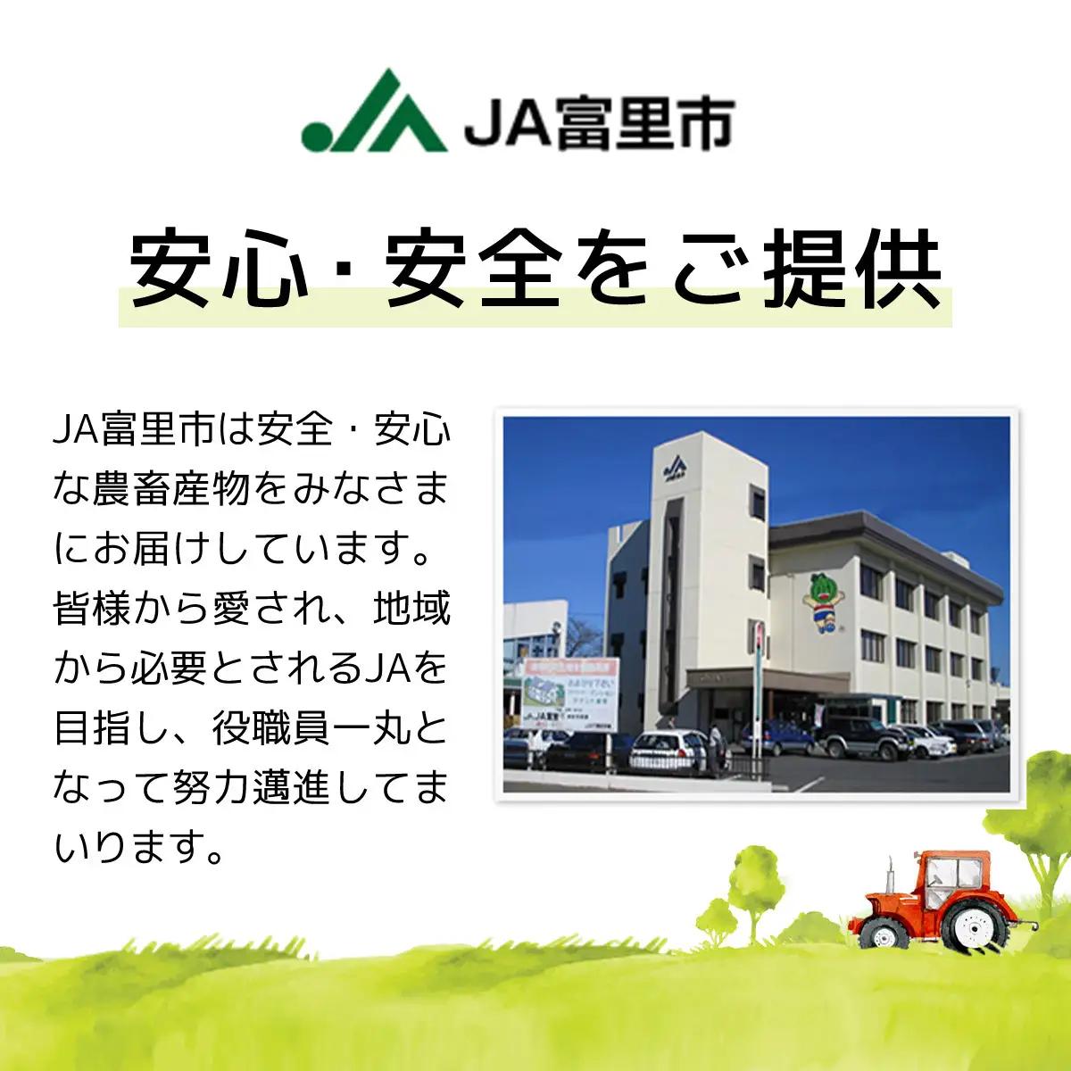 【2026年発送先行予約】【数量・期間限定】旬をお届け！富里市産 梨２L ５㎏（15,16玉）/ なし 梨 秋の味覚 産地直送 甘い 旨味 送料無料 期間限定 数量限定 JA JA富里 農協 ちば 千