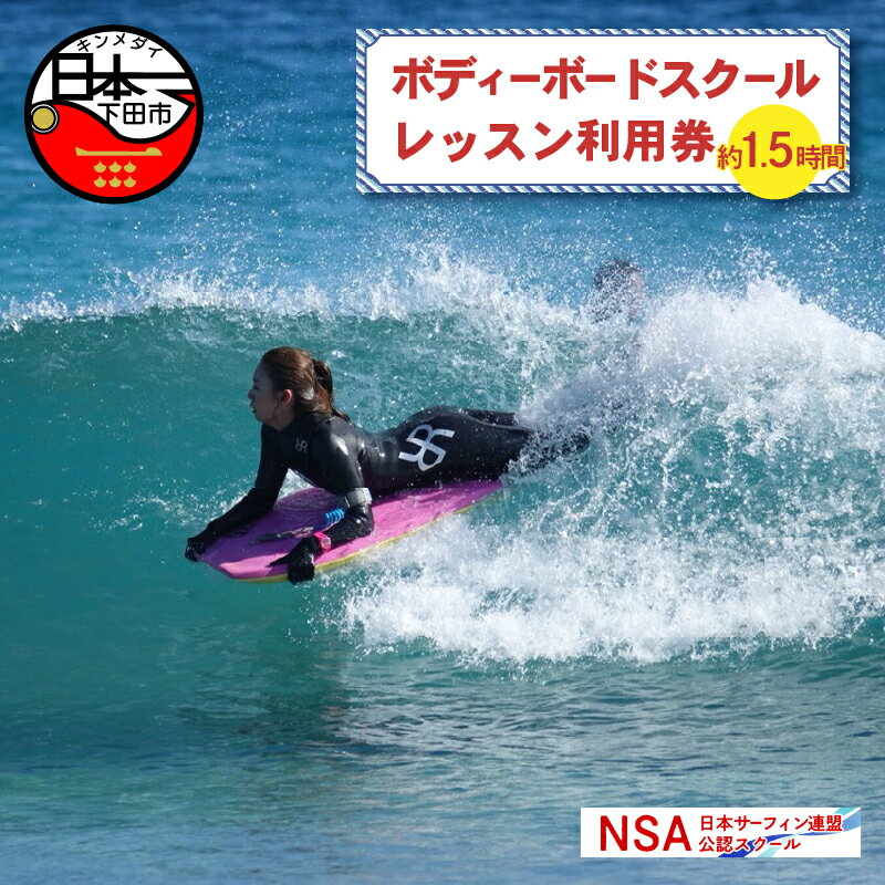 【ふるさと納税】 ボディボード スクール レッスン 1レッスン利用券 体験 アウトドア スポーツ 海 サーフィン アクティビティ マリンスポーツ レジャー 白浜海岸 伊豆 下田 白浜マリーナ