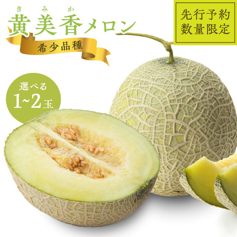 【ふるさと納税】高評価★4.5 高レビュー★【先行予約／数量限定】希少品種 黄美香 (きみか) メロン 1玉 (2025年7月下旬～発送) メロン 2玉 (2025年7月中旬～発送) 選べる 内容量 1玉 2玉 国産 ギフト めろん 先行予約 期間限定 ふるさと 納税 フルーツ くだもの 果物