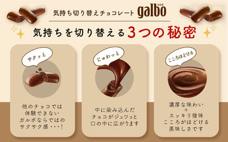 ガルボチョコ パウチ 48袋[AOAA028] チョコレート