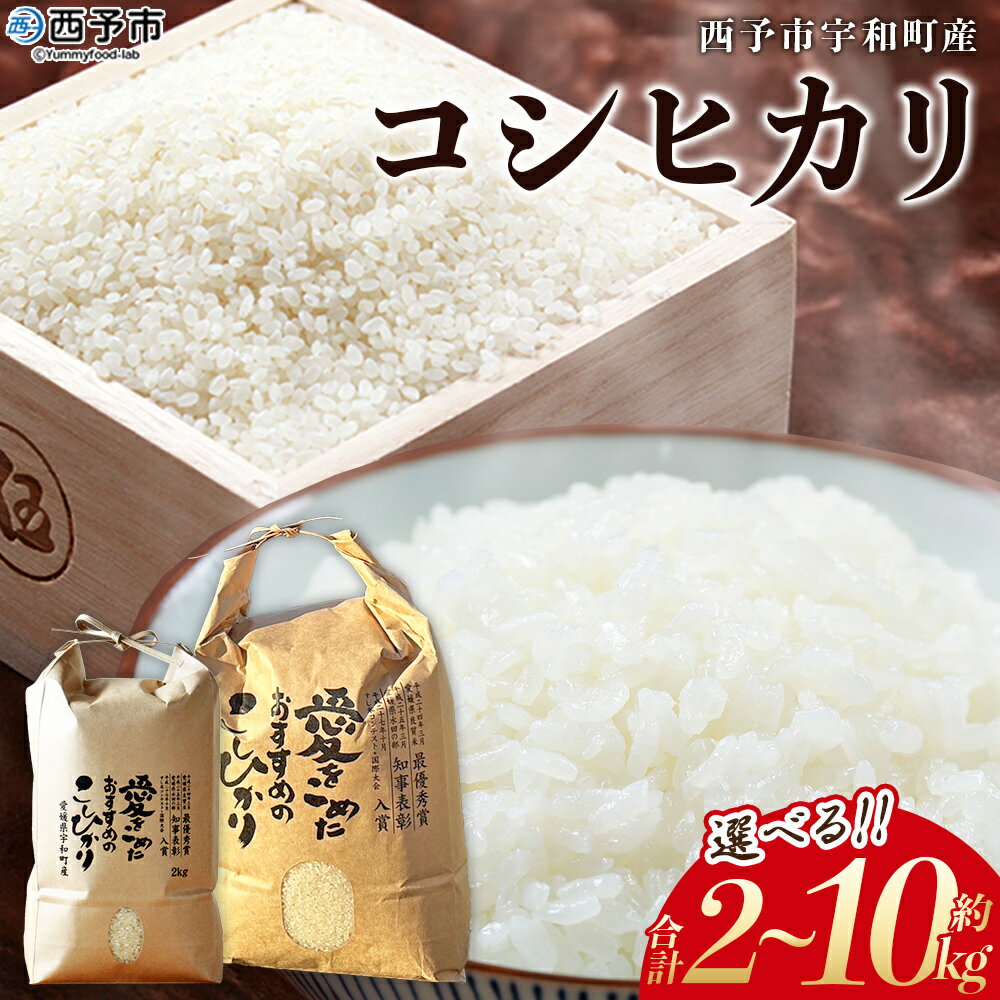 【ふるさと納税】新米＜令和7年産 西予市宇和町産 コシヒカリ 約2kg/5kg/10kg＞ お米 コメ こめ 白米 精米 単一原料米 ご飯 白飯 ごはん 穀物 コシヒカリ こしひかり 朝食 特産品 愛媛県産 西予市産 宇和町産 三好フク【常温】『2025年9月中旬より順次出荷予定』