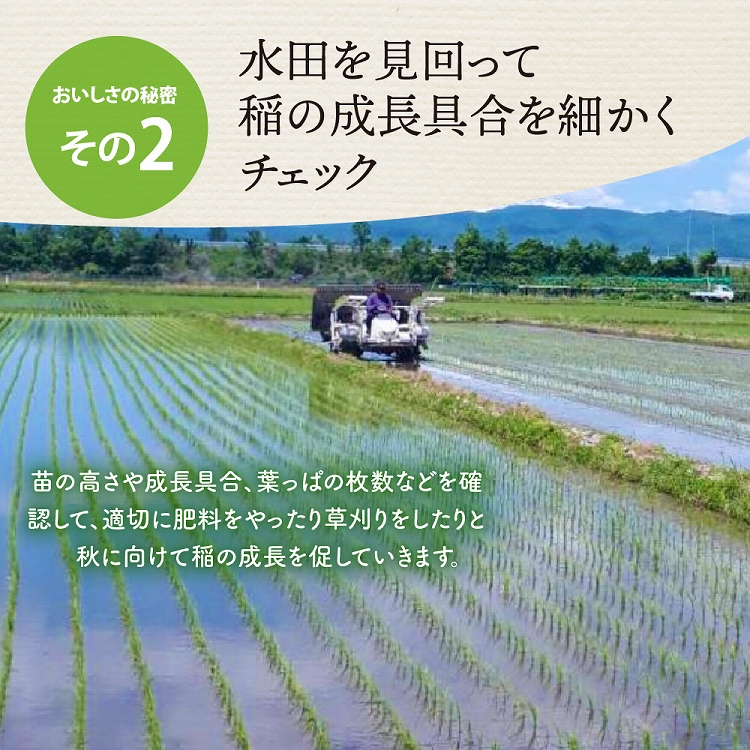 【令和6年産米】※2025年２月下旬スタート※ 特別栽培米 つや姫60kg（20kg×3ヶ月）隔月定期便 山形県産 【JAさがえ西村山】